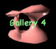 gallery4